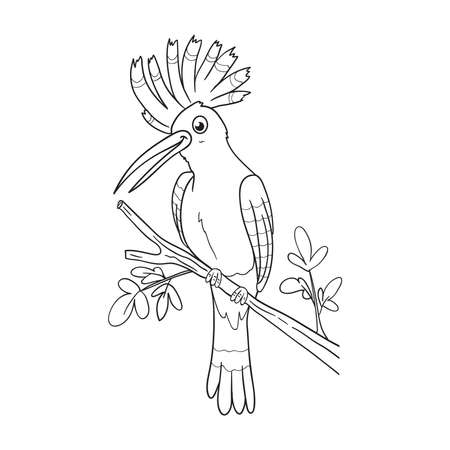 coloring pages or books for kids. cute hoopoe cartoon illustrationのイラスト素材