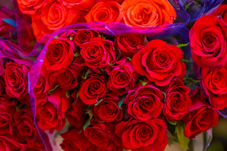 Bouquet of red roses in a flower shop. Close up.の写真素材