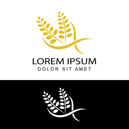 agriculture wheat logo template design vectorのイラスト素材