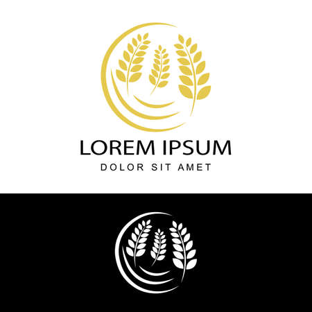 agriculture wheat logo template design vectorのイラスト素材