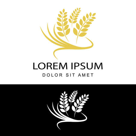 agriculture wheat logo template design vectorのイラスト素材