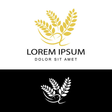 agriculture wheat logo template design vectorのイラスト素材