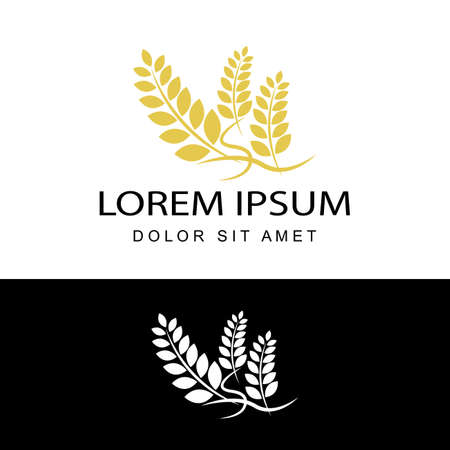 agriculture wheat logo template design vectorのイラスト素材