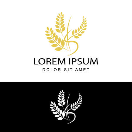 agriculture wheat logo template design vectorのイラスト素材