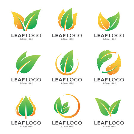 set of gradient leaf logo for company