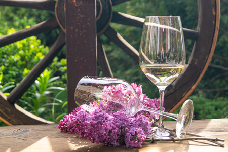 two glasses of white wine and flowering branches of lilac in the gardenの写真素材