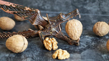 Walnuts and nutcracker on a dark background. selective focus.の写真素材