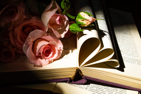 Bouquet of pink roses and open book on a dark background