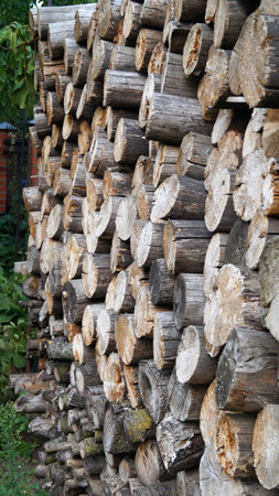 Stacks of firewood in the yard of a country house.