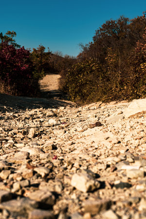 Rural road in the mountains in autumn. Landscape with stones and bushes.の写真素材