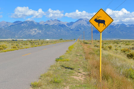 Elk - Deer Crossing sign on roadの写真素材