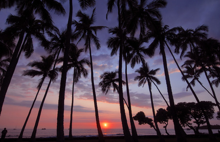 Sunset, Big Island of Hawaii, USA の写真素材