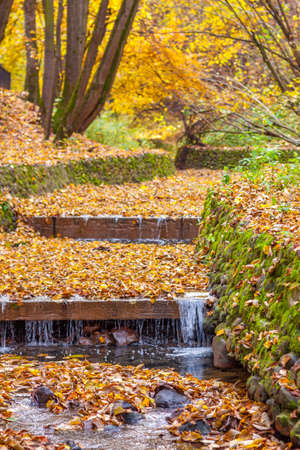 The stream in the Kolomenskoe park in the autumn, Moscowの写真素材