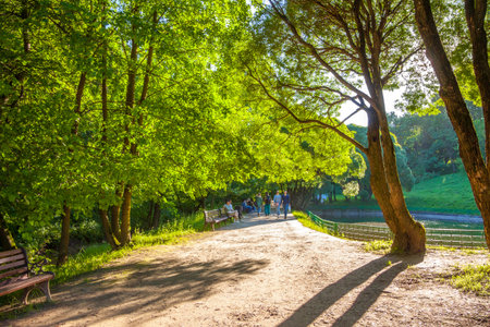 Moscow, Russia - 06.21.20: Pedestrian path in Kolomenskoe parkのeditorial素材