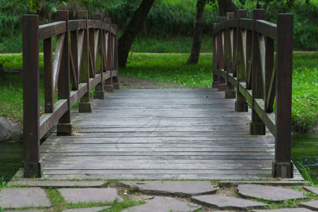 Brigde in the forestの写真素材