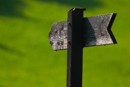 Wooded sign isolated on green backgroundの写真素材
