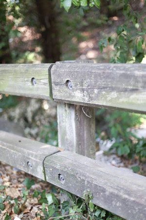 Fence with blurred background in a forestの写真素材