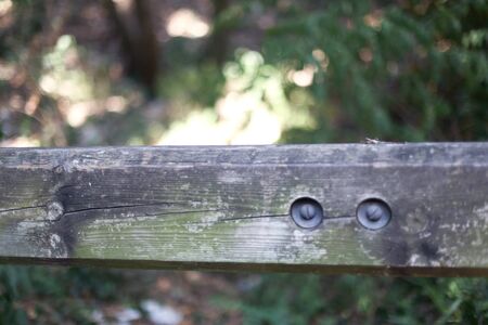 Fence with blurred background in a forestの写真素材