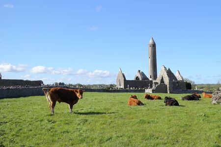 Former Irish Monastery of Kilmacduaghの写真素材