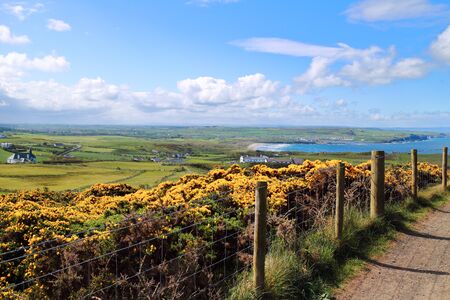 Beautiful Irish cliffs overlooking the seaの写真素材