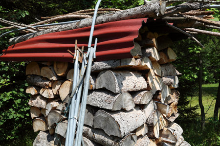 Stacks of wood for fire, in the woods of Trentino Alto Adige