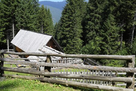 Chalet in the middle of the woods of Trentino Alto Adigeの写真素材