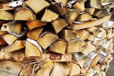Stacks of wood for fire, in the woods of Trentino Alto Adigeの写真素材