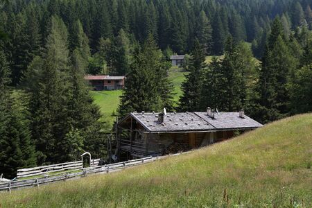 Chalet in the middle of the woods of Trentino Alto Adigeの写真素材
