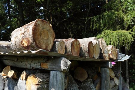 Stacks of wood for fire, in the woods of Trentino Alto Adigeの写真素材