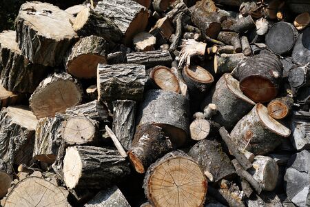 Stacks of wood for fire, in the woods of Trentino Alto Adigeの写真素材