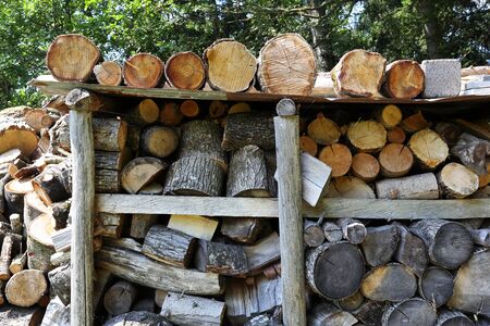 Stacks of wood for fire, in the woods of Trentino Alto Adigeの写真素材
