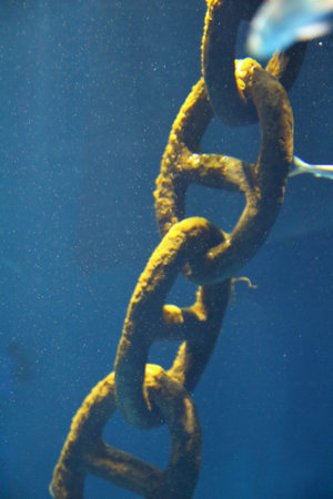 Seaweed filled chain at the bottom of the sea
