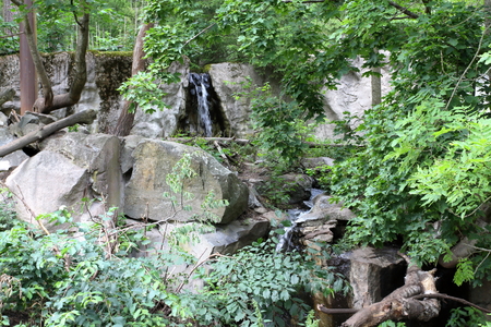 Skansen: the first of Sweden's open-air museums and zoosのeditorial素材