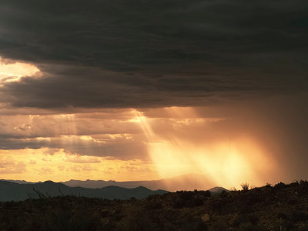 The sky is clear. Cumulus clouds and rain clouds. Stormの写真素材