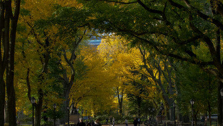 New York, USA - June 20, 2015: Walk in the park. Park in new york. The life of New York in the...