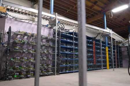 A mining farm, video cards and asiki mining farm.