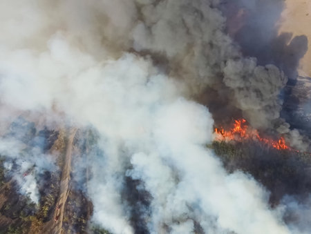Forest fire, smoke of the surrounding area. smoke and fire.
