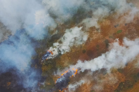 Forest fire, smoke of the surrounding area. smoke and fire.