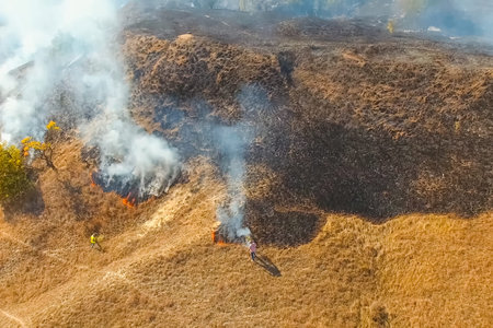 Steppe fire. Burning dry grass, fire and smoke