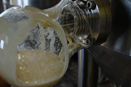 The sampling of beer from a barrel in a brewery.の写真素材