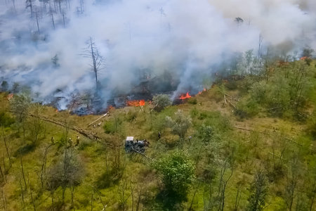 Forest fire, smoke of the surrounding area. smoke and fire.