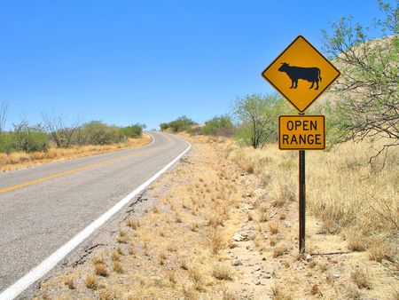 Paved rural road with Open Range cattle signの写真素材