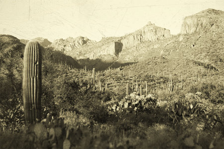 Old western USA desert landscapeの写真素材