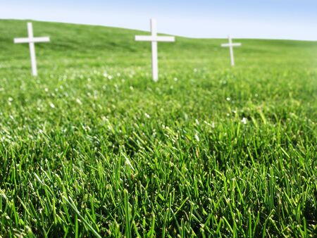 Open grass field with memorial white crossesの写真素材