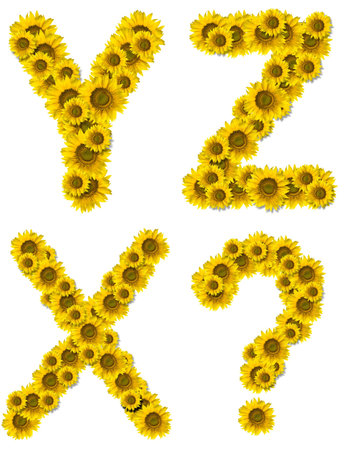 Sunflower capital letters X Y Z ?の写真素材