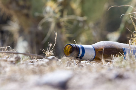 Beer bottle discarded in desertの写真素材