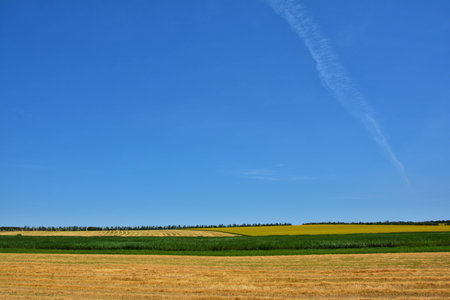 Russian fieldの写真素材