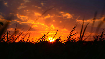 sunsetの写真素材