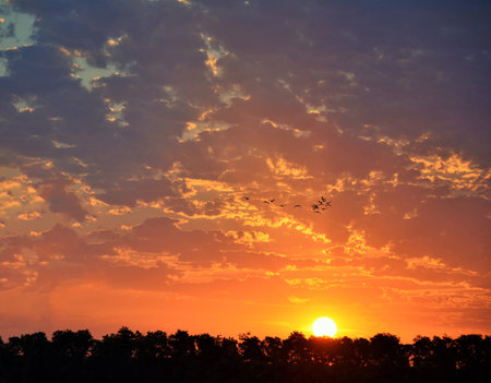sunriseの写真素材