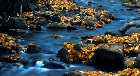 This is a creek in the autumn forest.の写真素材